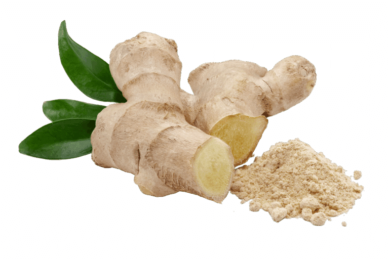 Ingwerpulver hat viele gesundheitliche Vorteile, darunter die Linderung von Verdauungsbeschwerden, die Reduzierung von Übelkeit und eine entzündungshemmende Wirkung. Es ist eine der 14 biologischen Zutaten von Nurisan.