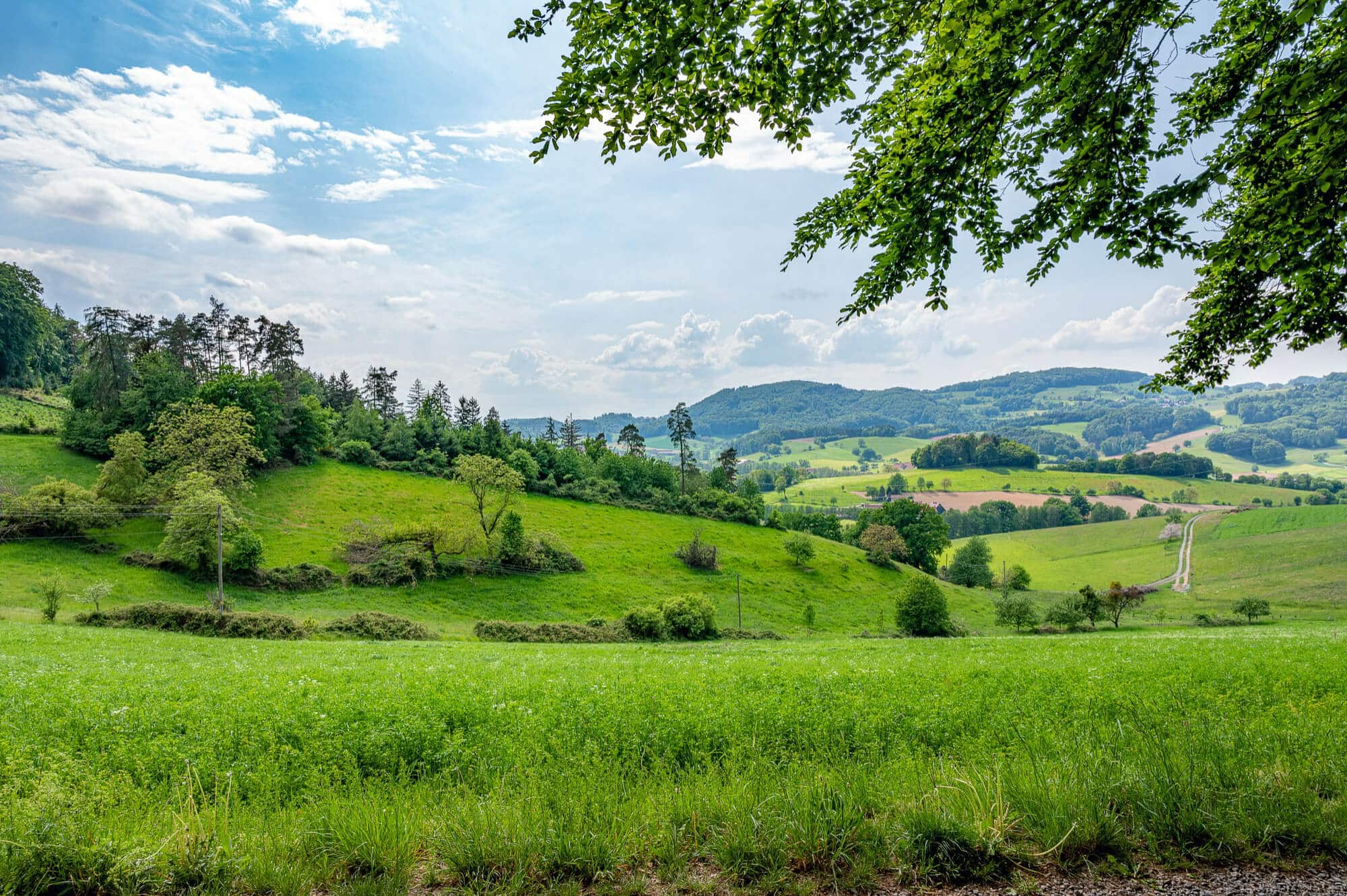 Kerngesunde reine Natur und Landschaft symbolisiert die Reinheit und Natürlichkeit von Nurisan, das zu 100% biozertifiziert ist