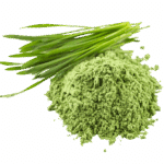 Gerstengras enthält eine hohe Konzentration an Vitaminen, Mineralstoffen und Antioxidantien. Diese können zur Steigerung der Vitalität, zur Unterstützung des Immunsystems und zur Förderung einer gesunden Verdauung beitragen.  Es ist eine der 14 biologischen Zutaten von Nurisan.