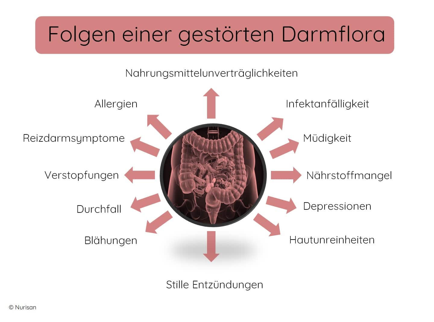 Die Folgen einer gestörten Darmflora sind vielfältig und können sich auf unterschiedliche Weise manifestieren. Sie reichen von kleinen Mangelerscheinungen bis hin zu komplexen Verdauungsstörungen. Nur eine langfristige Umstellung von Lebens- und Ernährungsgewohnheiten kann hier dauerhaft Linderung und vor allem Besserung schaffen. Der erste Schritt ist mit Nurisan, dem präbiotischen Superfood, getan.