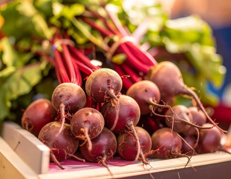 Frische Bünde Rote Bete mit kräftigen grünen Blättern auf einem Marktstand als gesundes, naturbelassenes Gemüse.