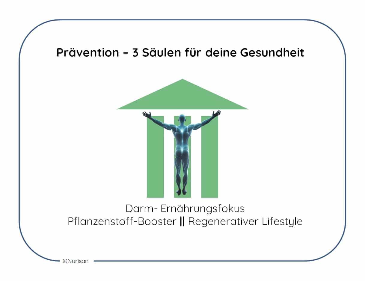 Das Modell „Drei Säulen für deine Gesundheit“ basiert auf den drei Hauptfeldern Darmgesundheit und Ernährungsfokus, Pflanzenstoff-Booster und regenerativer Lifestyle. Wenn diese Säulen stimmen, kann man davon ausgehen, dass man präventiv gesund lebt und sich im Bereich des körperlichen und geistigen Wohlbefindens aufhält. Nurisan ist dabei eine wichtige Komponente, die eine allgemeine Gesunderhaltung ermöglicht und somit auch präventiv wirkt.