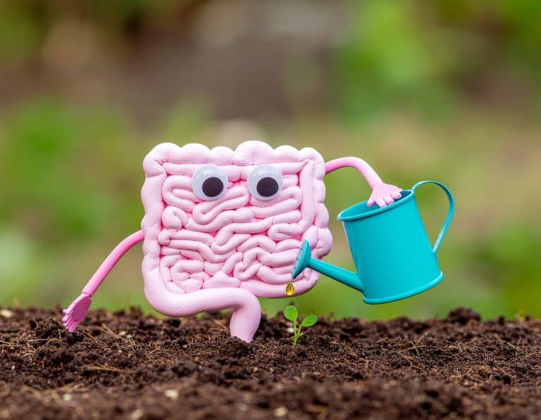 Zusatzstoffe können sich negativ auf das Mikrobiom auswirken, indem sie die Darmbarriere schwächen, entzündungsfördernde Bakterien begünstigen und die Zusammensetzung der Darmflora verändern. Insbesondere Emulgatoren und Süßstoffe können schädlich wirken. Dies kann zu Dysbiosen und einem erhöhten Entzündungsrisiko führen.