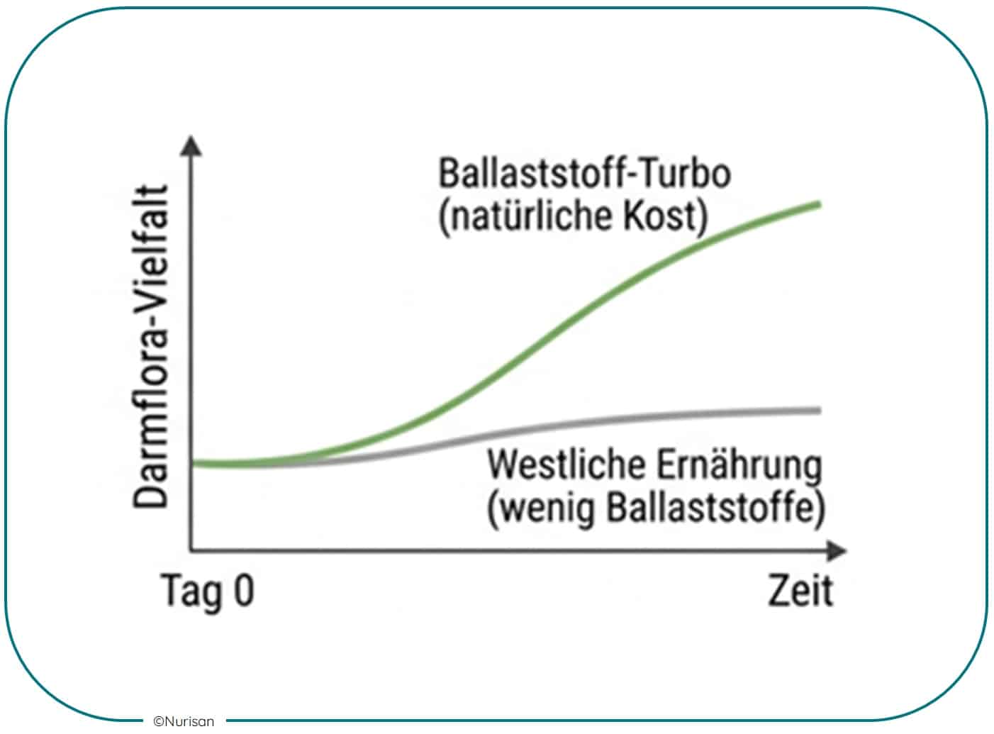 Eine gezielte Ernährung nach einer Antibiotikaeinnahme kann den Wiederaufbau der Darmflora (Mikrobiom) quasi „turbo-boosten”. Durch den Verzehr von probiotischen Lebensmitteln, die lebende Bakterien enthalten, und von präbiotischen Lebensmitteln, die den Bakterien als Nahrung dienen, kann die Regeneration beschleunigt, die Bakterienvielfalt erhöht und die Darmbarriere gestärkt werden.