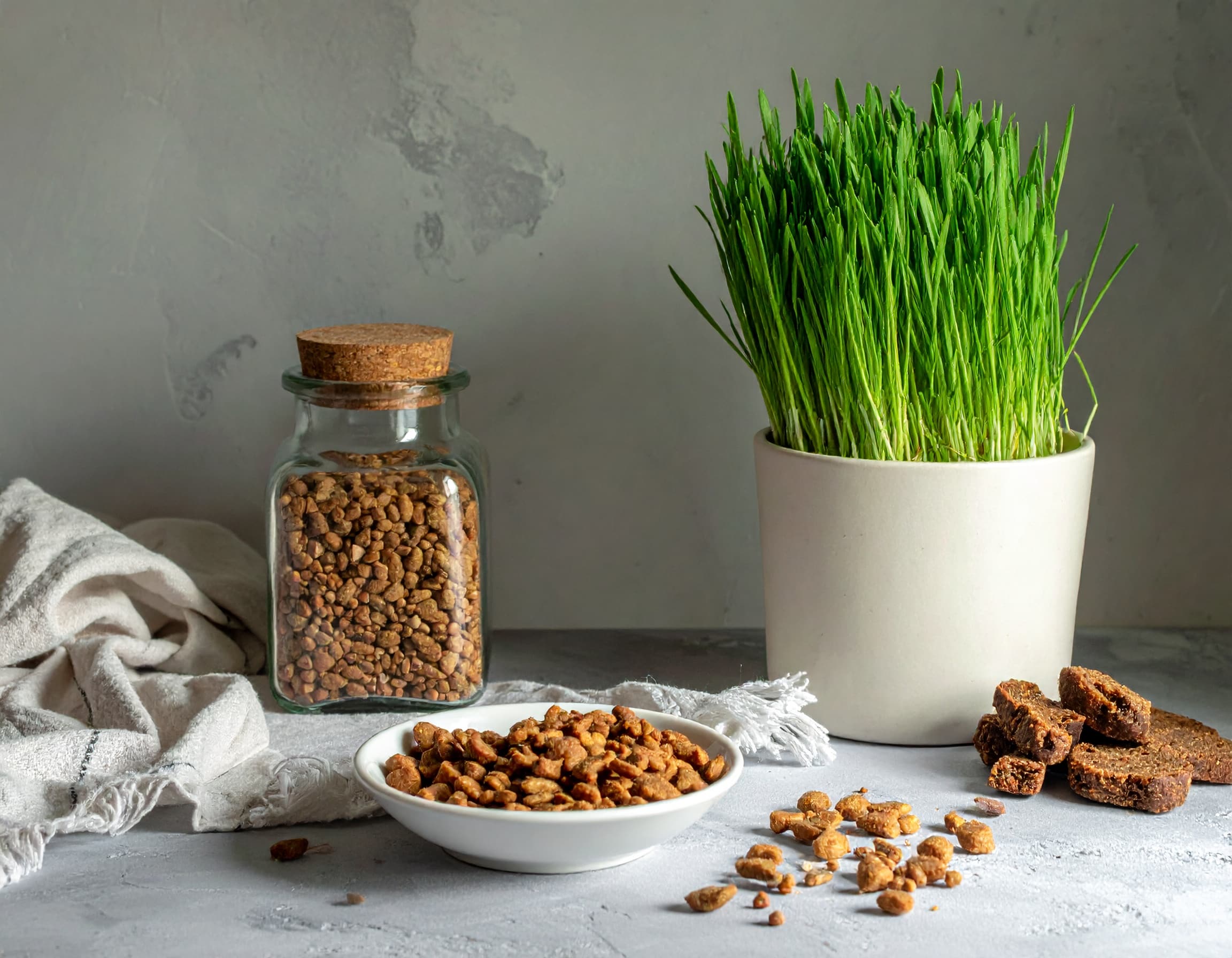 Frisches Gerstengras im Topf und eine Schale mit knusprigen, ballaststoffreichen Getreide-Clusters dienen als Inspiration für eine abwechslungsreiche Ernährung.