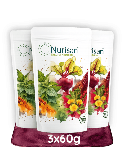Nurisan Entdecker-Bundle – 3er-Pack der 60g-Reisegröße. Ballaststoff- und proteinreiches Lebensmittelpulver aus 14 pflanzlichen Bio-Zutaten.