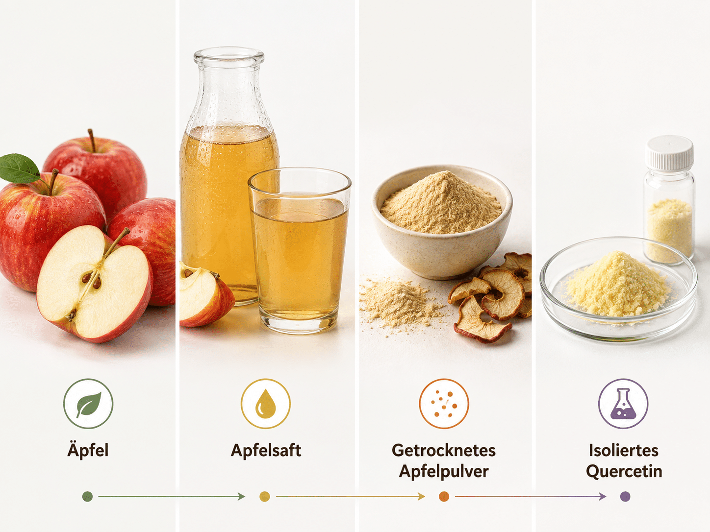 Vergleich verschiedener Verarbeitungsstufen von Pflanzenstoffen: Vom frischen Apfel über Apfelsaft und ganzheitliches Apfelpulver bis hin zum isolierten Pflanzenstoff Quercetin.