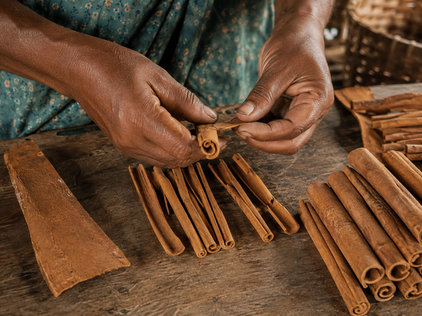Handwerkliche Zimtverarbeitung: Eine Nahaufnahme zeigt Hände, die an einem Holztisch feine Rindenstücke manuell zu klassischen Zimtstangen aufrollen, dem sogenannten Quill.