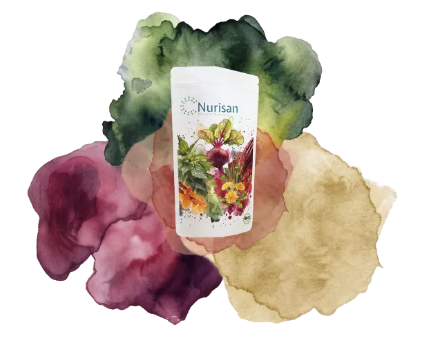 Abstraktes Aquarell-Schaubild: Nurisan Produktpackung als verbindendes Element natürlicher Nährstoffgruppen